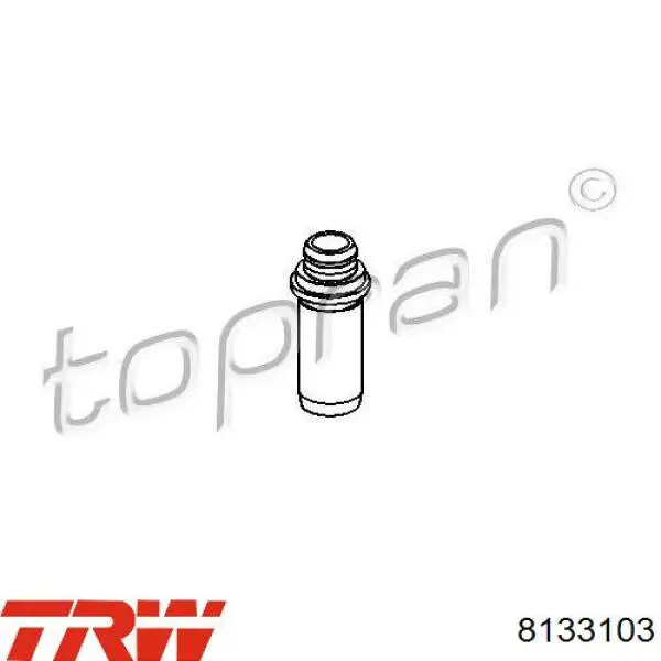 8133103 TRW Prowadnica zaworu