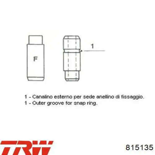 Prowadnica zaworu ssącego TRW 815135 cena, od 5,08 USD