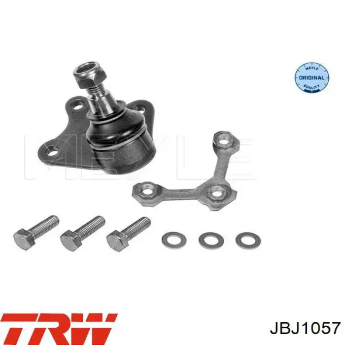 JBJ1057 TRW Sworzeń wahacza dolny prawy