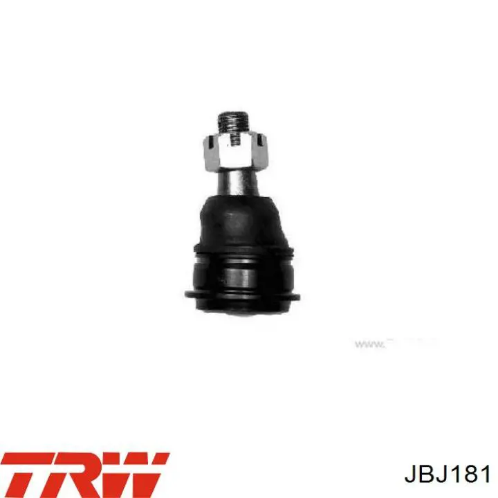 Sworzeń wahacza dolny TRW JBJ181 cena, od 13,51 USD