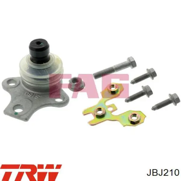 Do koszyka JBJ210 TRW Sworzeń wahacza dolny