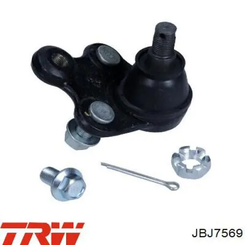 Do koszyka JBJ7569 TRW Sworzeń wahacza dolny