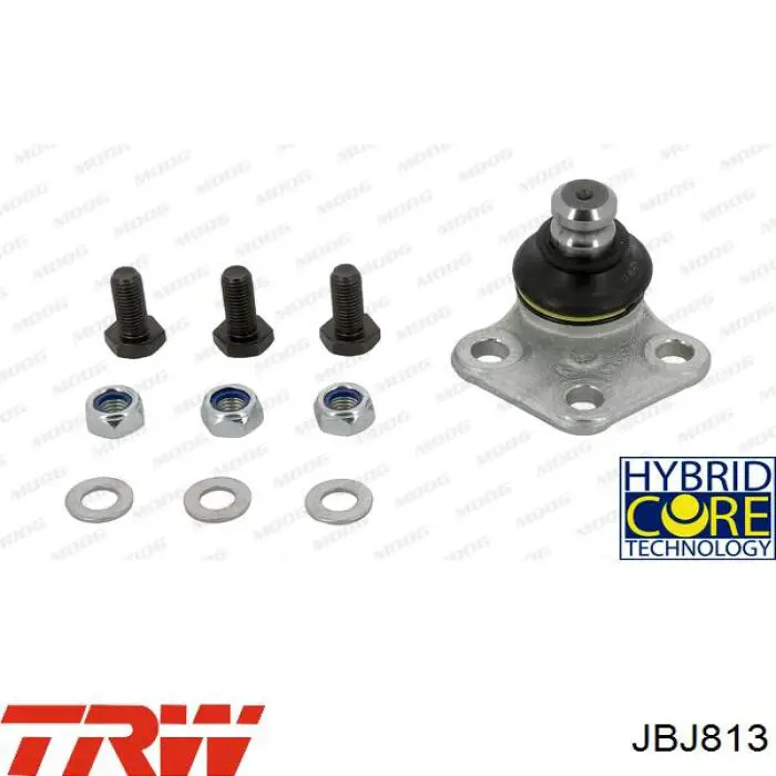 Sworzeń wahacza dolny lewy TRW JBJ813 cena, od 16,02 USD