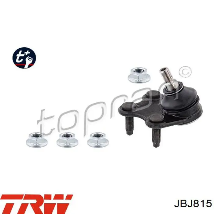 Do koszyka JBJ815 TRW Sworzeń wahacza dolny prawy