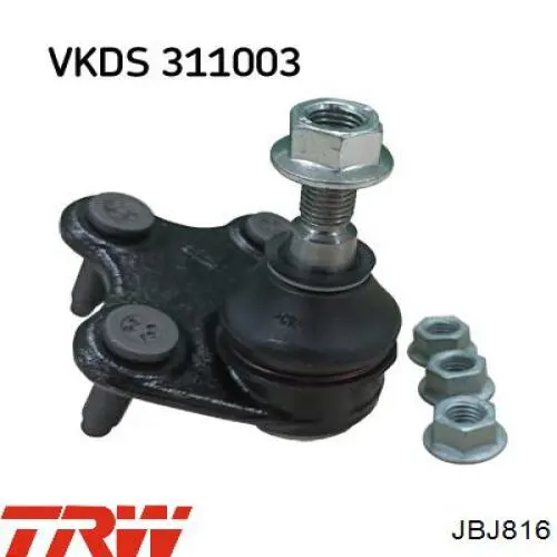 Do koszyka JBJ816 TRW Sworzeń wahacza dolny lewy
