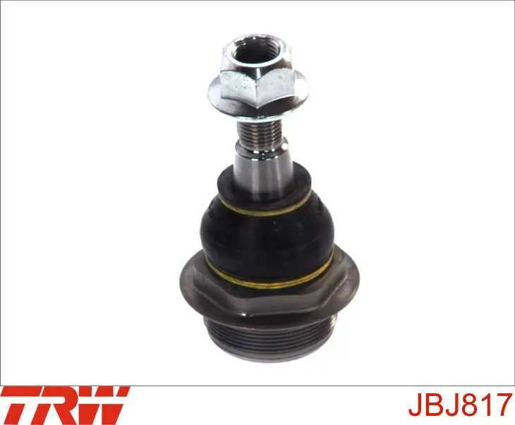 Sworzeń wahacza dolny lewy TRW JBJ817 cena, od 15,06 USD