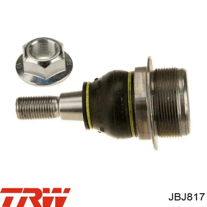 Do koszyka JBJ817 TRW Sworzeń wahacza dolny lewy