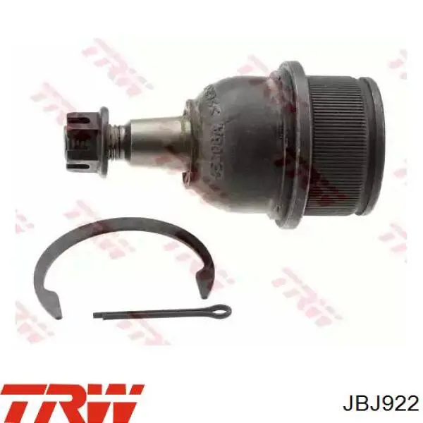 JBJ922 TRW Sworzeń wahacza dolny