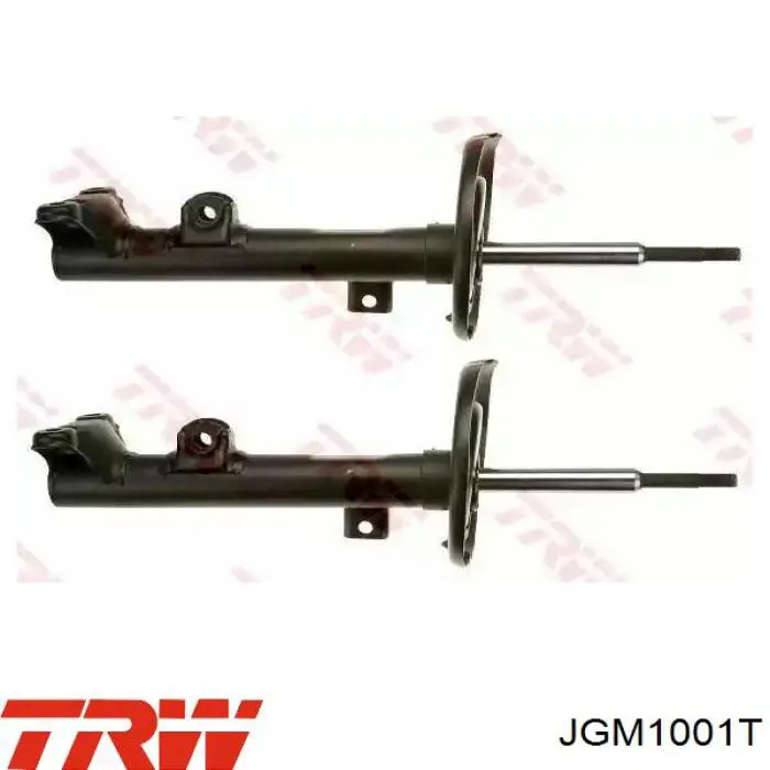Amortyzator przedni TRW JGM1001T cena, od 91,02 USD