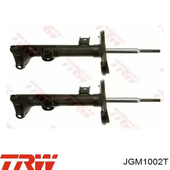 Amortyzator przedni TRW JGM1002T cena, od 114,01 USD