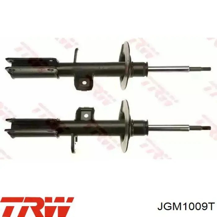 Amortyzator przedni BMW X5 SUV (E53) (2000 - 2006) cena, od 111,85 USD