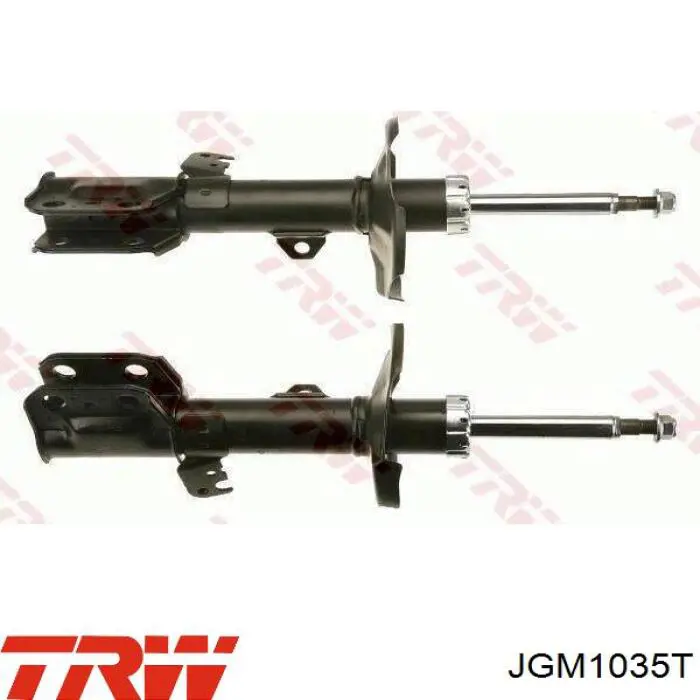 Amortyzator przedni prawy TRW JGM1035T cena, od 61,32 USD