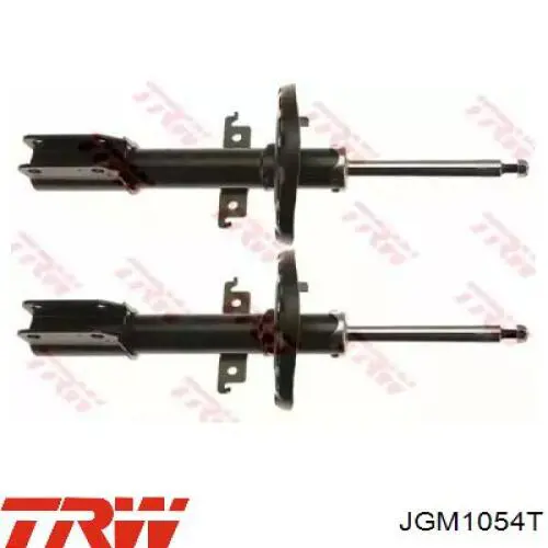 Amortyzator przedni TRW JGM1054T cena, od 61,81 USD