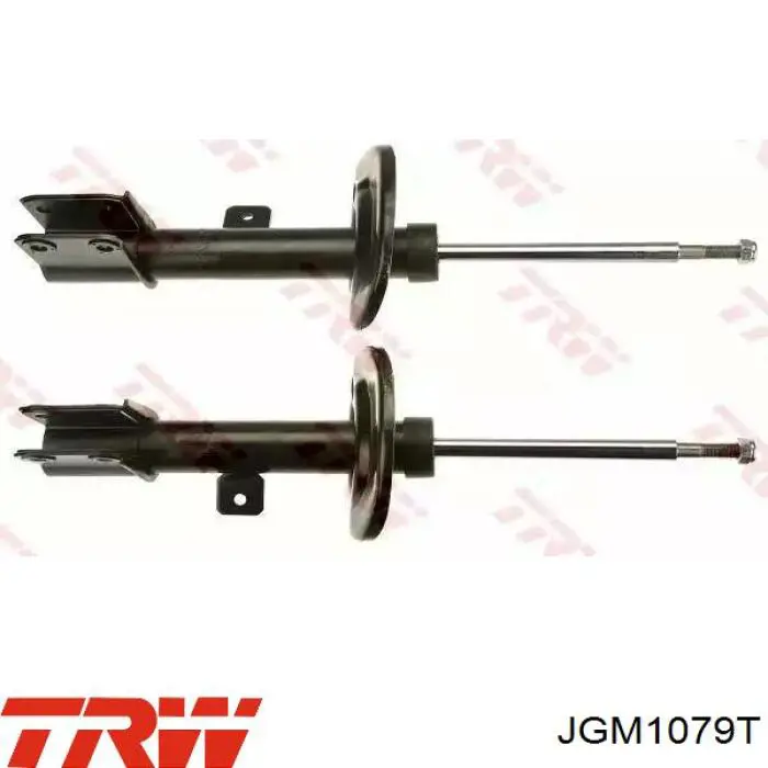 Amortyzator przedni TRW JGM1079T cena, od 94,59 USD
