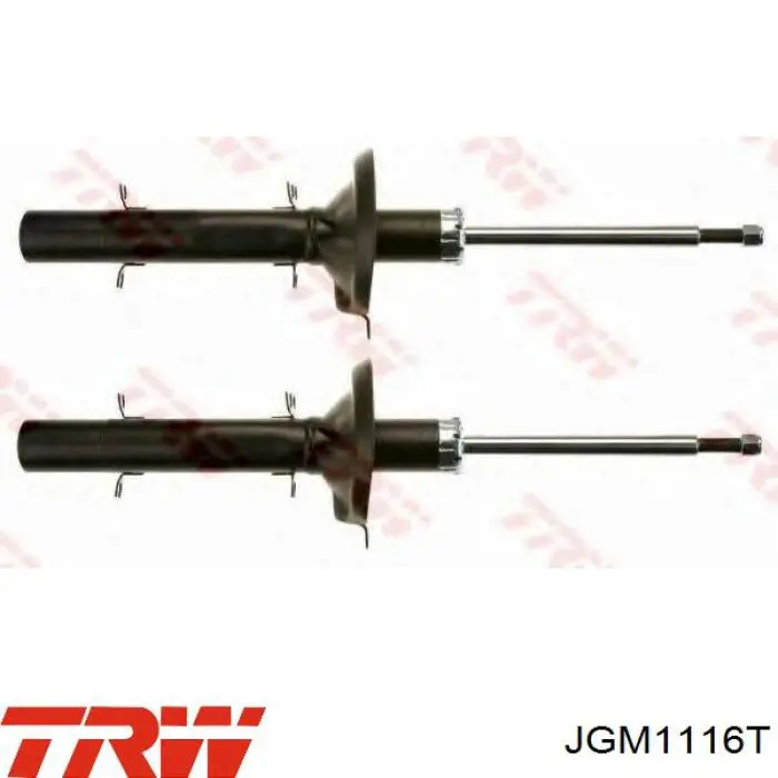 Amortyzator przedni RS315910 Raiso
