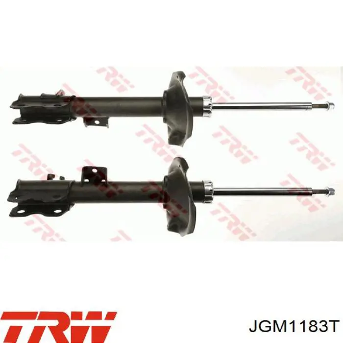Amortyzator tylny prawy TRW JGM1183T cena, od 61,74 USD
