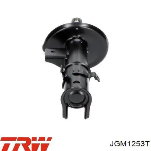 Amortyzator przedni prawy TRW JGM1253T cena, od 54,70 USD