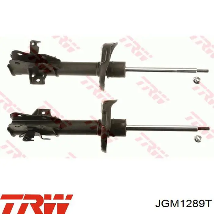 Amortyzator przedni prawy TRW JGM1289T cena, od 87,39 USD