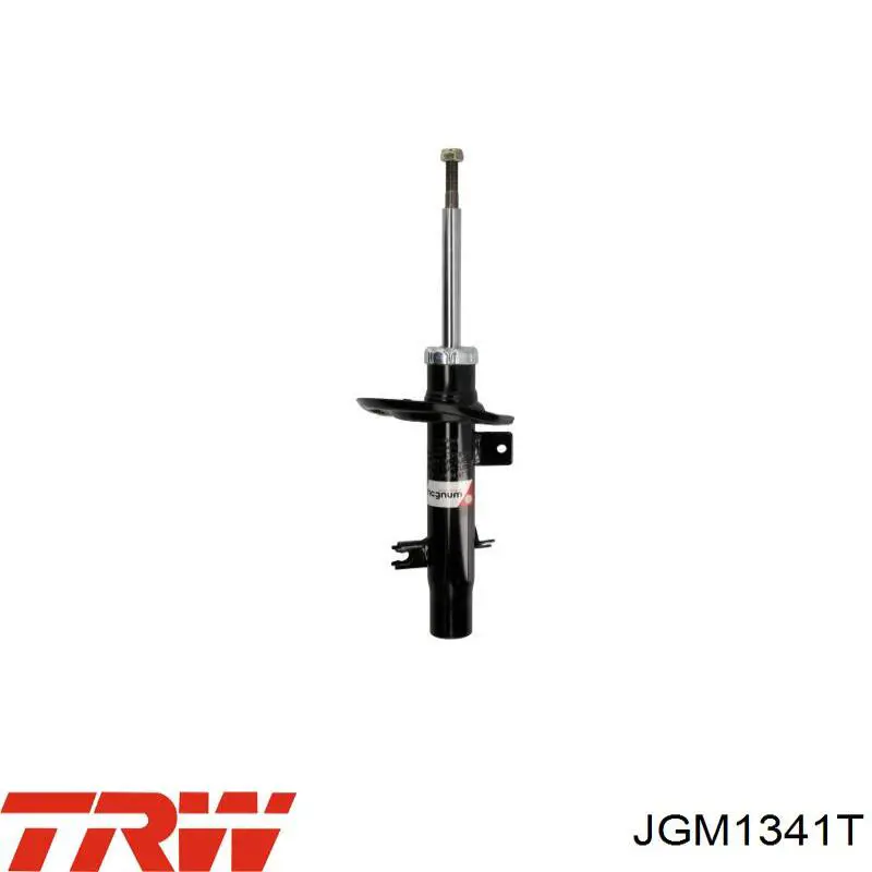 Amortyzator przedni TRW JGM1341T cena, od 106,66 USD