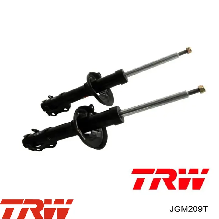 Amortyzator przedni TRW JGM209T cena, od 53,74 USD