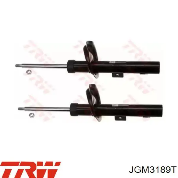 Amortyzator przedni TRW JGM3189T cena, od 151,19 USD