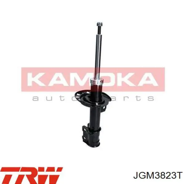 Do koszyka JGM3823T TRW Amortyzator przedni prawy