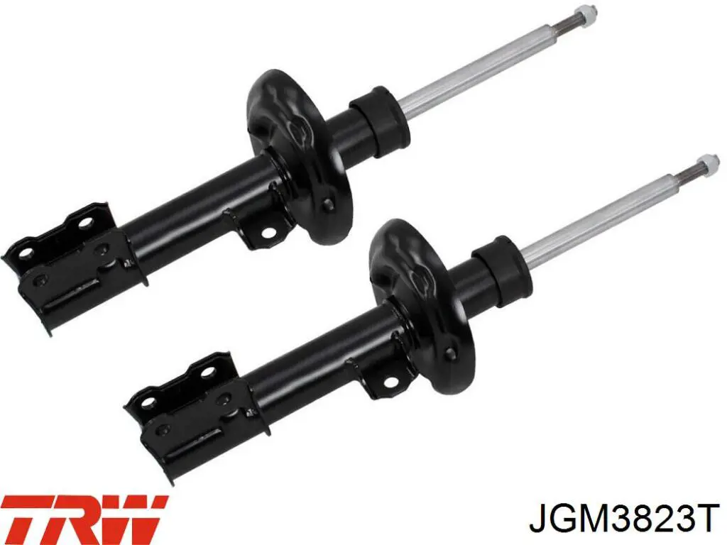 Amortyzator przedni prawy TRW JGM3823T cena, od 48,77 USD
