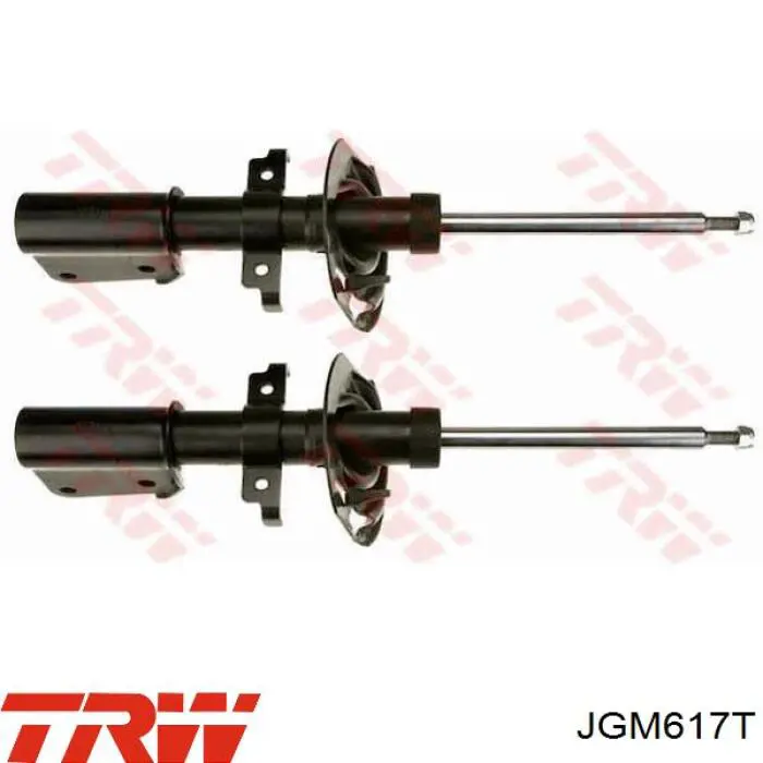 Amortyzator przedni TRW JGM617T cena, od 67,65 USD