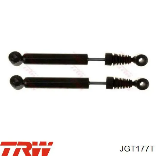 Amortyzator tylny TRW JGT177T cena, od 28,77 USD