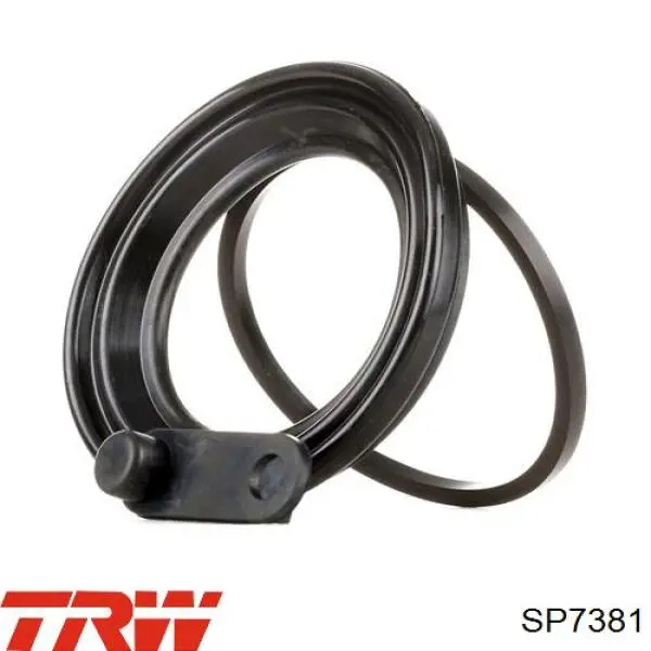 Do koszyka SP7381 TRW Zestaw naprawczy zacisku hamulcowego przedniego