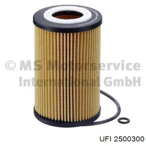 Filtr oleju UFI 2500300 cena, od 7,81 USD