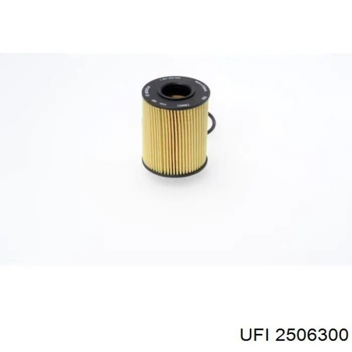 Filtr oleju UFI 2506300 cena, od 7,60 USD