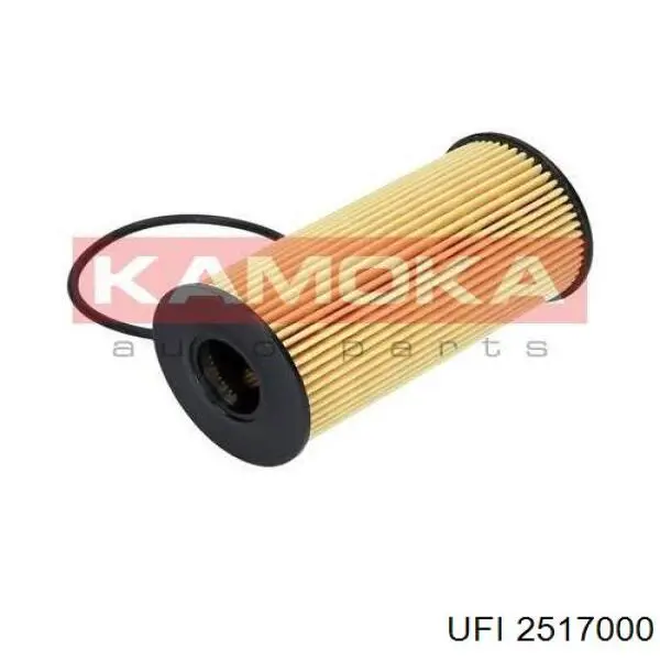 Filtr oleju UFI 2517000 cena, od 7,89 USD