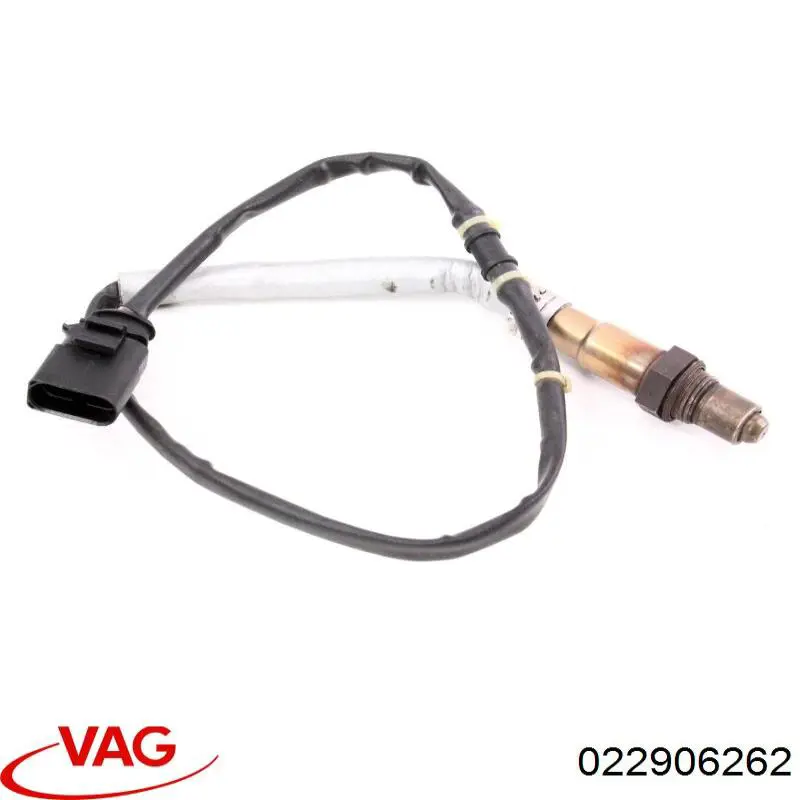  022906262 VAG