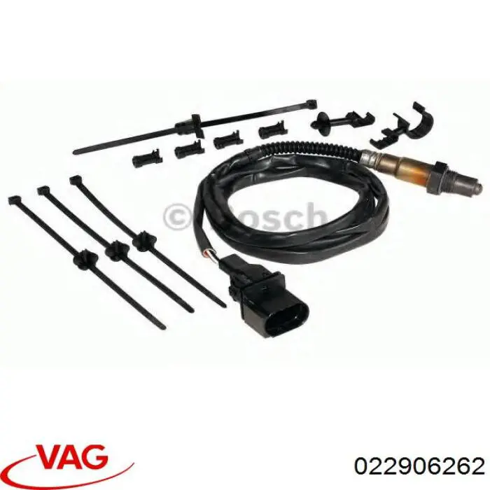 022906262 VAG 