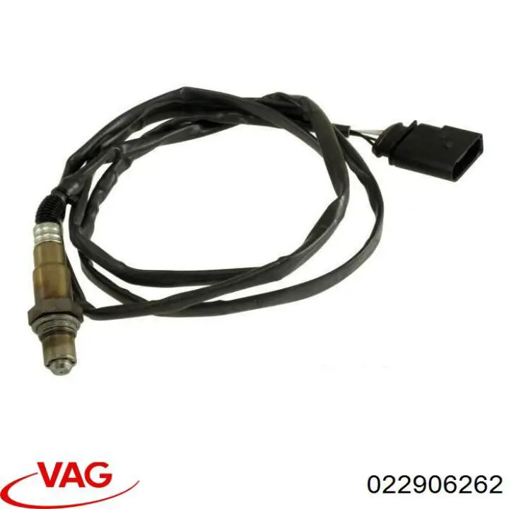  022906262 VAG