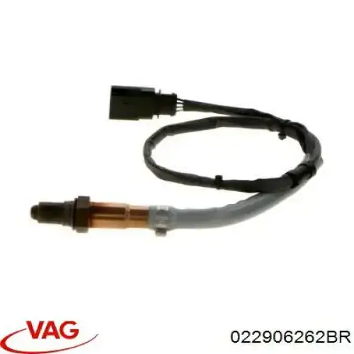 Do koszyka 022906262BR VAG Sonda lambda czujnik tlenu przed katalizatorem prawy