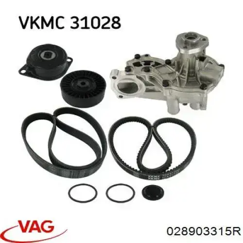 Do koszyka 028903315R VAG Napinacz paska napędowego