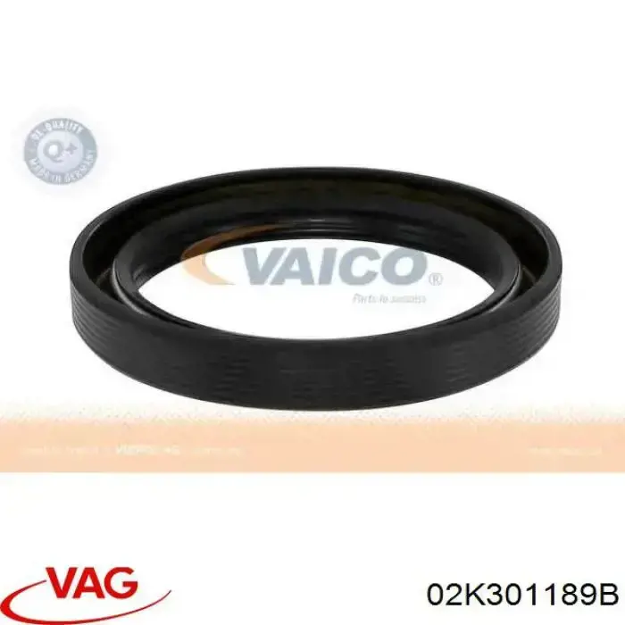 02K301189B VAG Uszczelniacz reduktora mostu przedniego