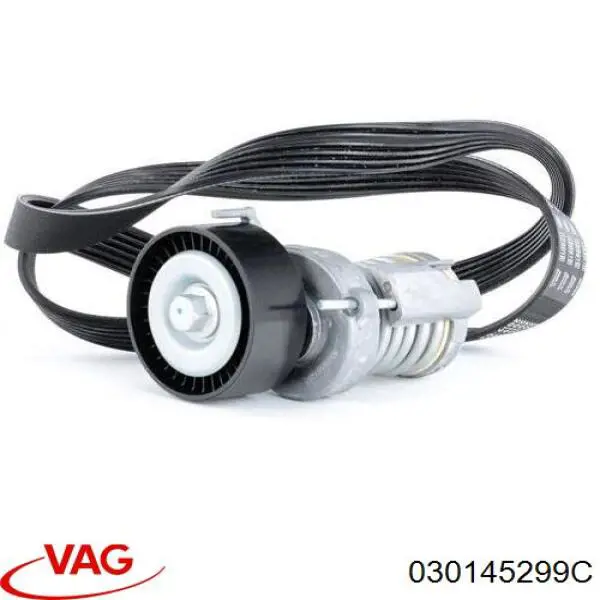 Do koszyka 030145299C VAG Napinacz paska napędowego