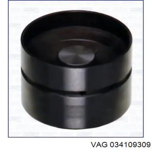Kompensator hydrauliczny (popychacz hydrauliczny), popychacz zaworu VAG 034109309 cena, od 5,01 USD
