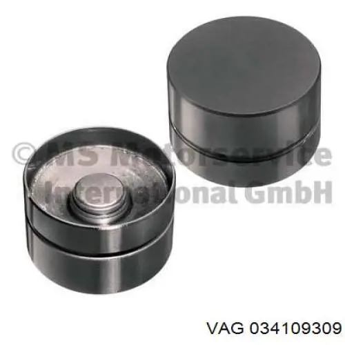 Do koszyka 034109309 VAG Kompensator hydrauliczny (popychacz hydrauliczny), popychacz zaworu