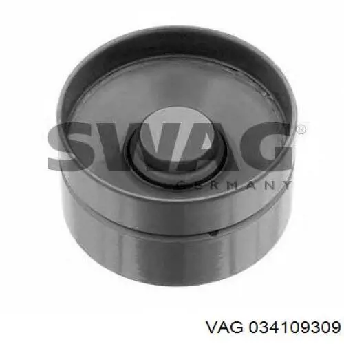 Do koszyka 034109309 VAG Kompensator hydrauliczny (popychacz hydrauliczny), popychacz zaworu