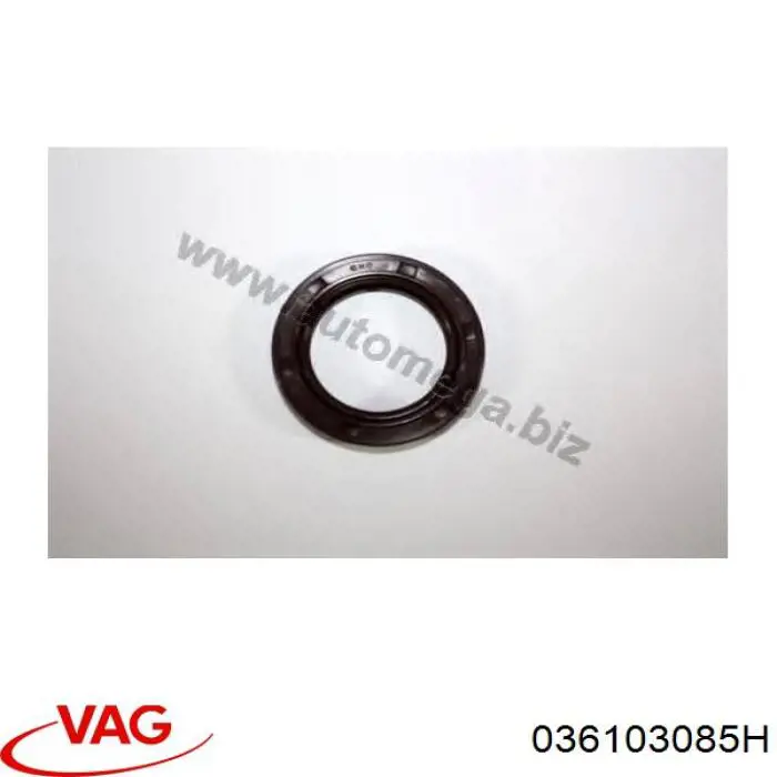 Do koszyka 036103085H VAG Uszczelniacz wału korbowego przedni