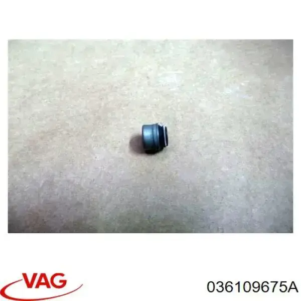 Uszczelniacz zaworu dolotowego/wylotowego VAG 036109675A