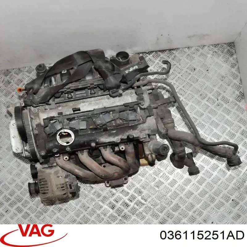 Kanał ssący VAG 036115251AD cena, od  