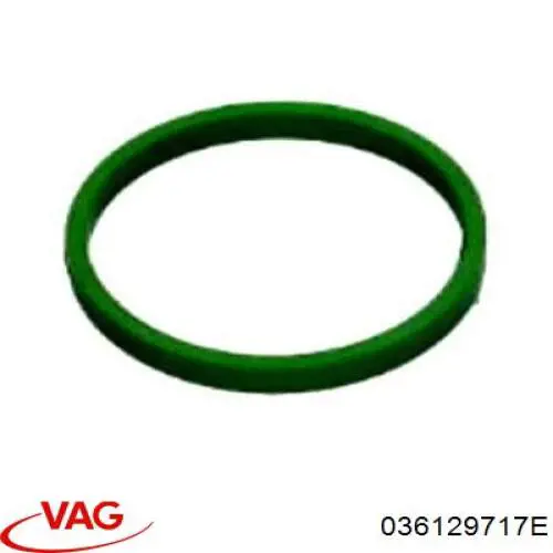 Do koszyka 036129717E VAG Uszczelka kolektora ssącego