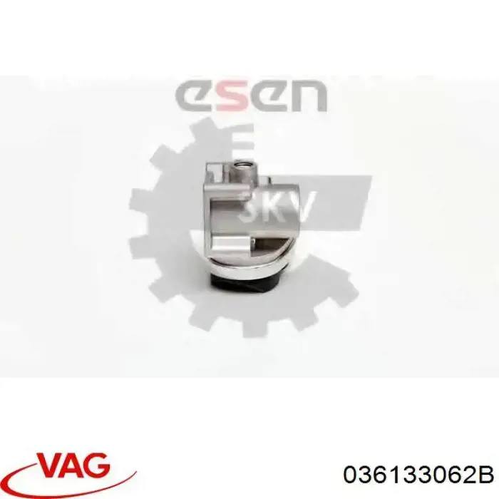 Do koszyka 036133062B VAG Przepustnica, komplet