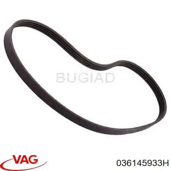 Do koszyka 036145933H VAG Pas napędowy mechanizmów