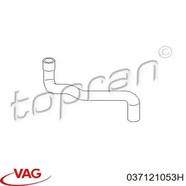 Do koszyka 037121053H VAG Przewód (króciec) układu chłodzenia
